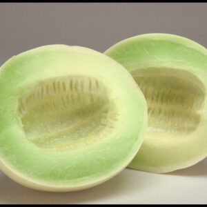 Honeydew
