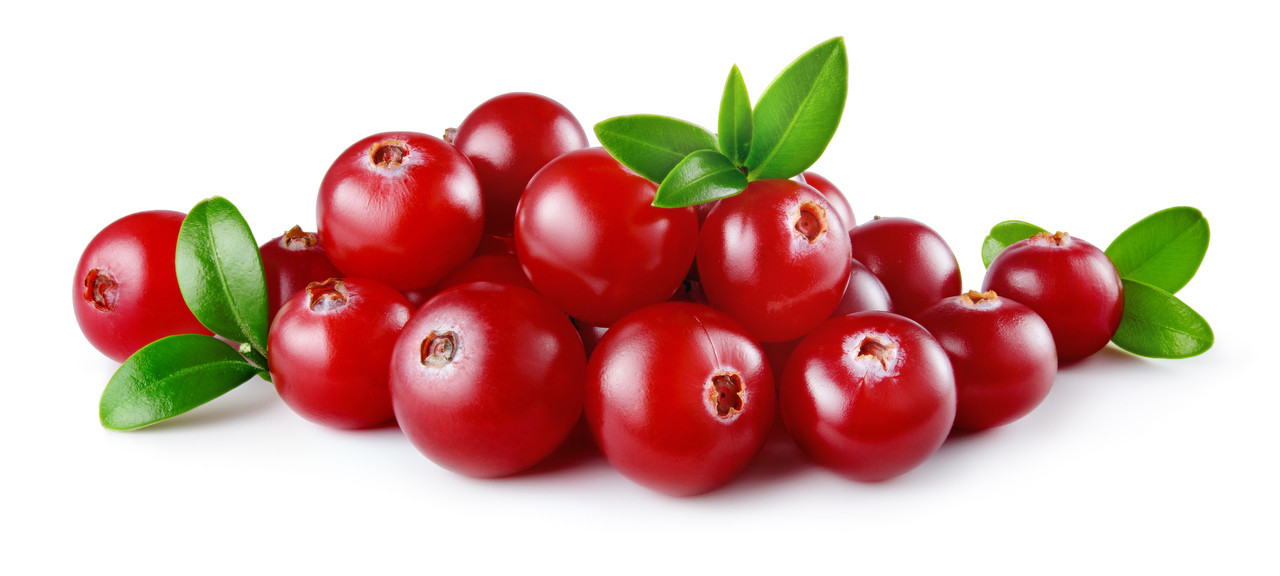 Cranberry