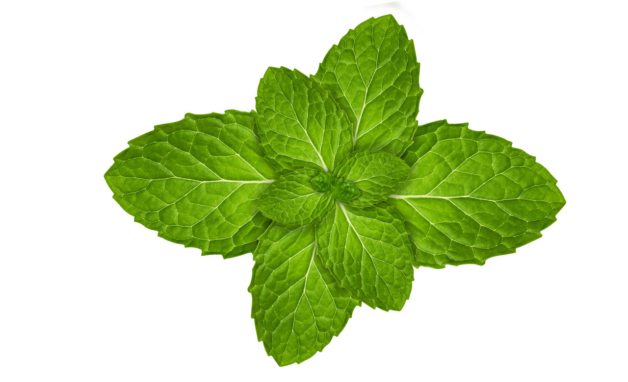 Menthol Tobacco